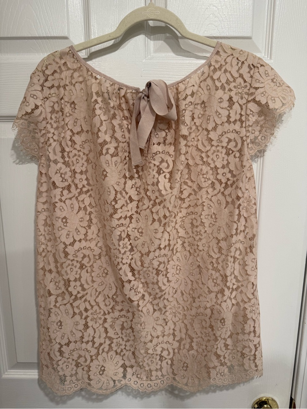 Joie Blush Lace Cap-Sleeve Blouse‎ - Picture 2 of 2